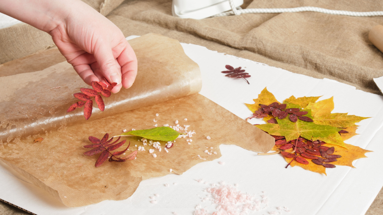 Rudeninių lapų padengimas vašku su lygintuvu